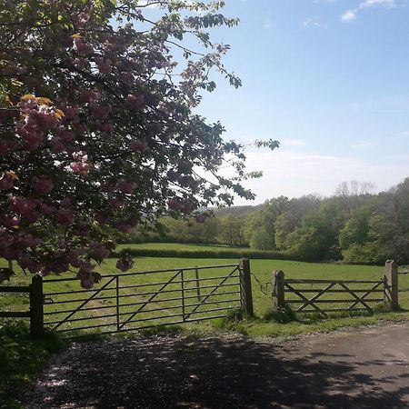 Danehill Moaps Farm B&B Support Small Business, Welcome, Check In From 5 Pm מראה חיצוני תמונה