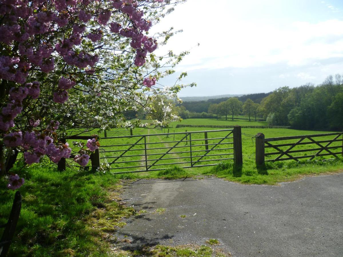 Danehill Moaps Farm B&B Support Small Business, Welcome, Check In From 5 Pm מראה חיצוני תמונה