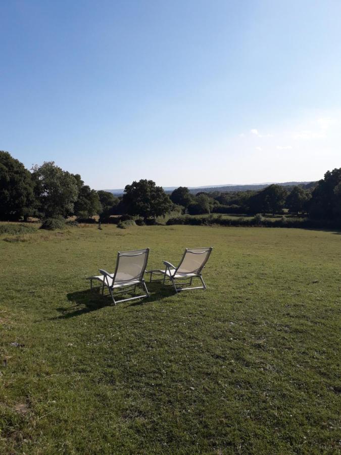 Danehill Moaps Farm B&B Support Small Business, Welcome, Check In From 5 Pm מראה חיצוני תמונה