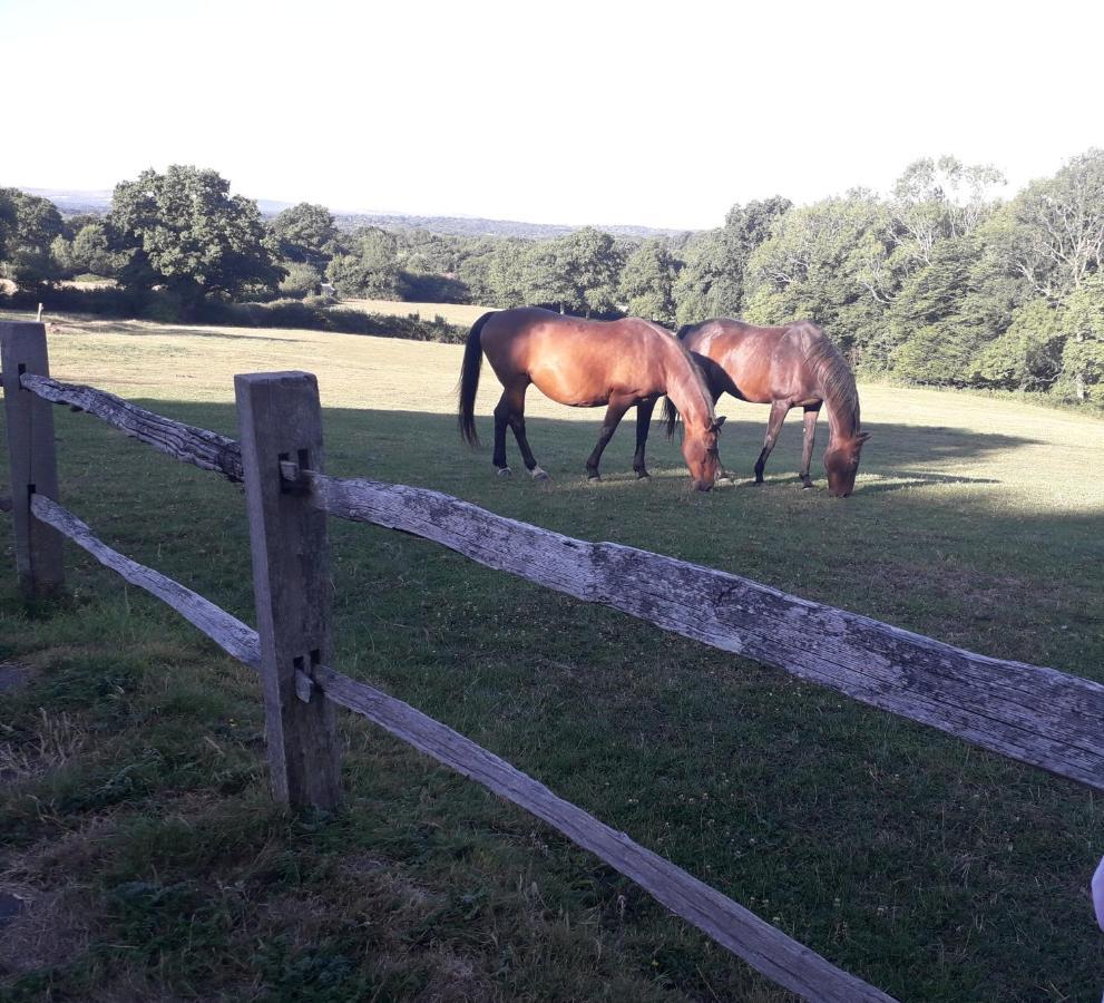 Danehill Moaps Farm B&B Support Small Business, Welcome, Check In From 5 Pm מראה חיצוני תמונה