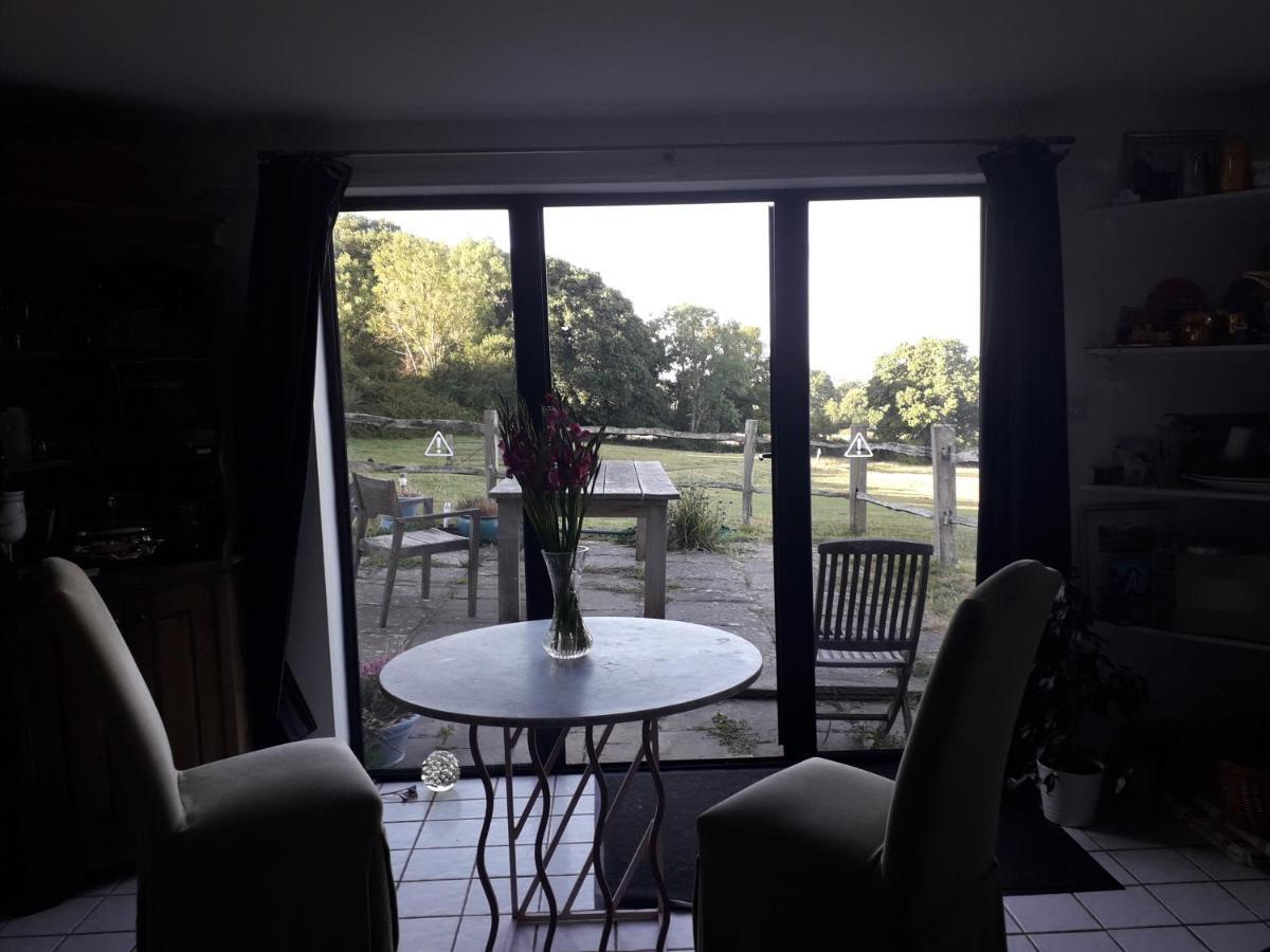 Danehill Moaps Farm B&B Support Small Business, Welcome, Check In From 5 Pm מראה חיצוני תמונה