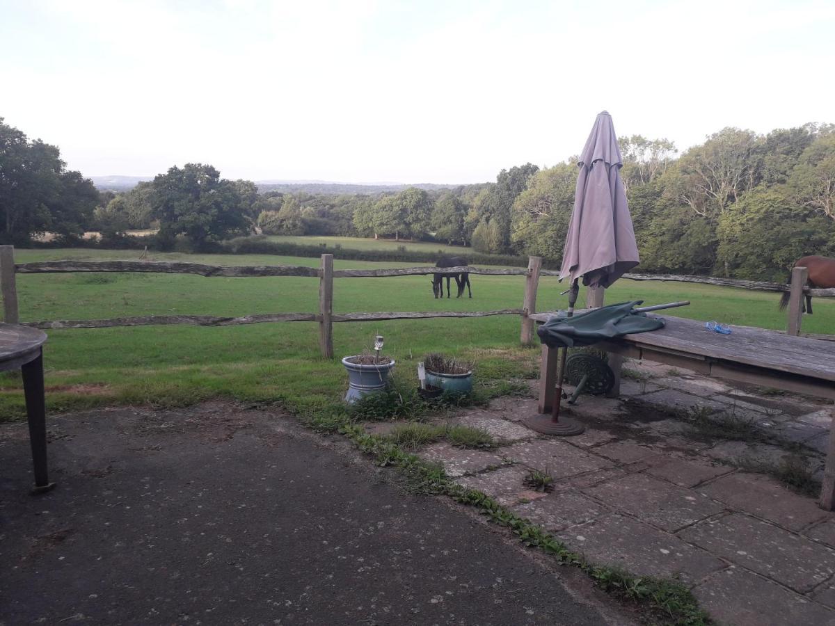 Danehill Moaps Farm B&B Support Small Business, Welcome, Check In From 5 Pm מראה חיצוני תמונה
