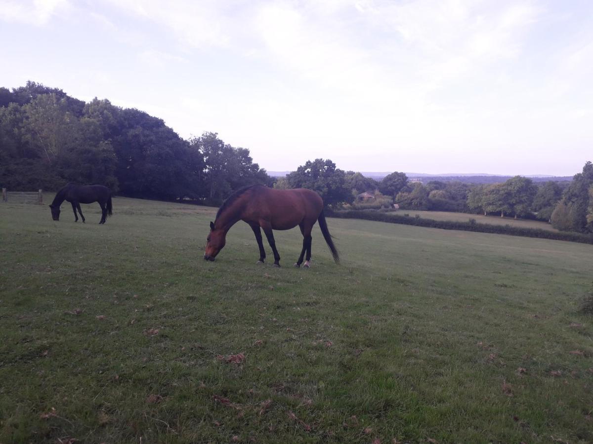 Danehill Moaps Farm B&B Support Small Business, Welcome, Check In From 5 Pm מראה חיצוני תמונה