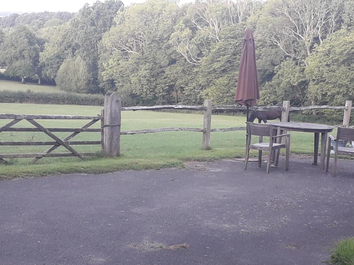 Danehill Moaps Farm B&B Support Small Business, Welcome, Check In From 5 Pm מראה חיצוני תמונה