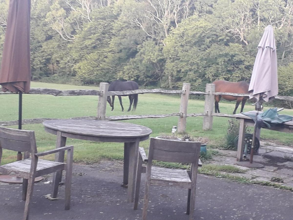 Danehill Moaps Farm B&B Support Small Business, Welcome, Check In From 5 Pm מראה חיצוני תמונה