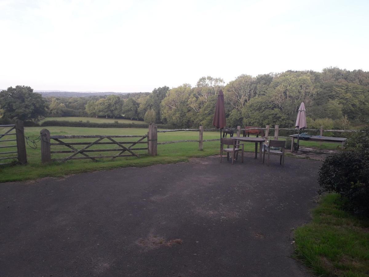 Danehill Moaps Farm B&B Support Small Business, Welcome, Check In From 5 Pm מראה חיצוני תמונה