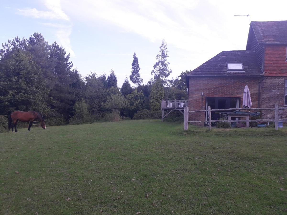 Danehill Moaps Farm B&B Support Small Business, Welcome, Check In From 5 Pm מראה חיצוני תמונה