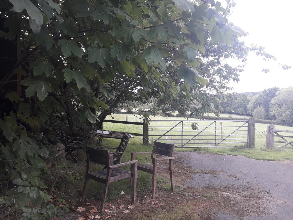 Danehill Moaps Farm B&B Support Small Business, Welcome, Check In From 5 Pm מראה חיצוני תמונה