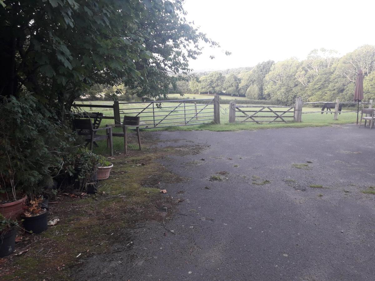 Danehill Moaps Farm B&B Support Small Business, Welcome, Check In From 5 Pm מראה חיצוני תמונה
