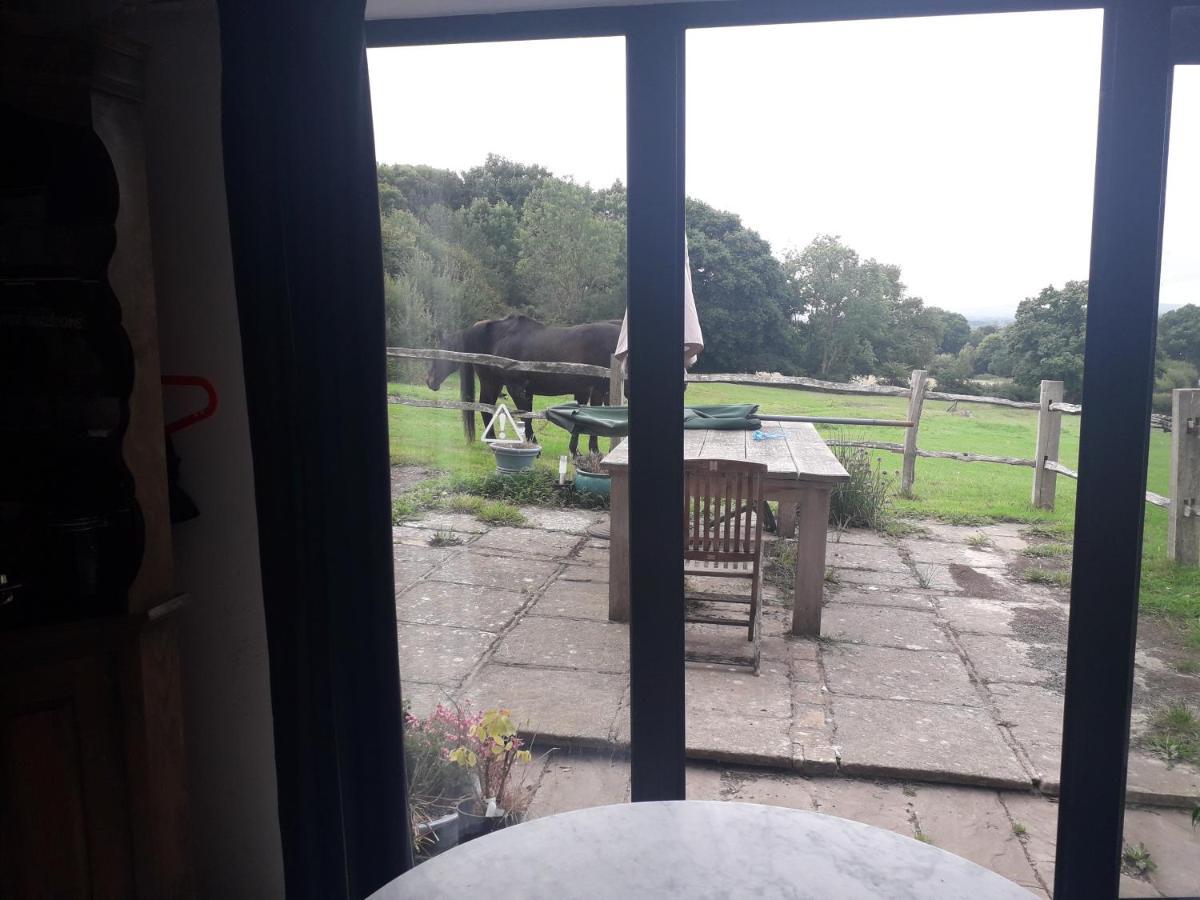 Danehill Moaps Farm B&B Support Small Business, Welcome, Check In From 5 Pm מראה חיצוני תמונה