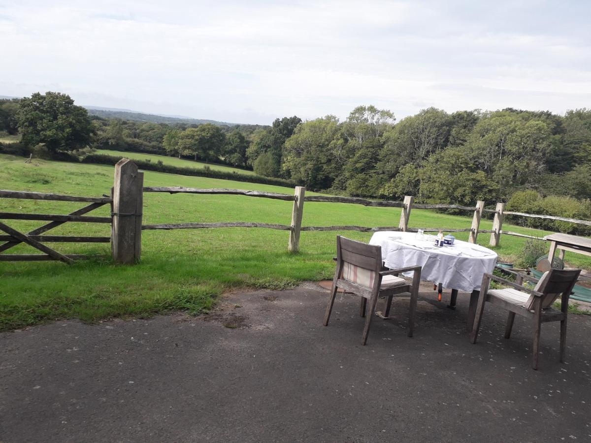 Danehill Moaps Farm B&B Support Small Business, Welcome, Check In From 5 Pm מראה חיצוני תמונה