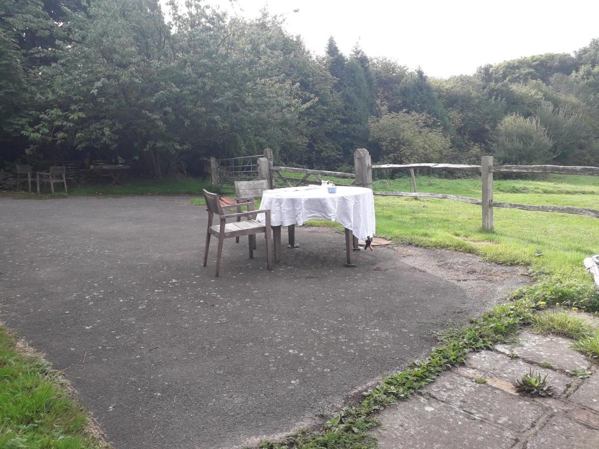 Danehill Moaps Farm B&B Support Small Business, Welcome, Check In From 5 Pm מראה חיצוני תמונה