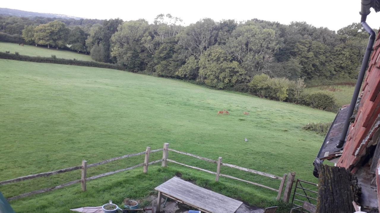 Danehill Moaps Farm B&B Support Small Business, Welcome, Check In From 5 Pm מראה חיצוני תמונה