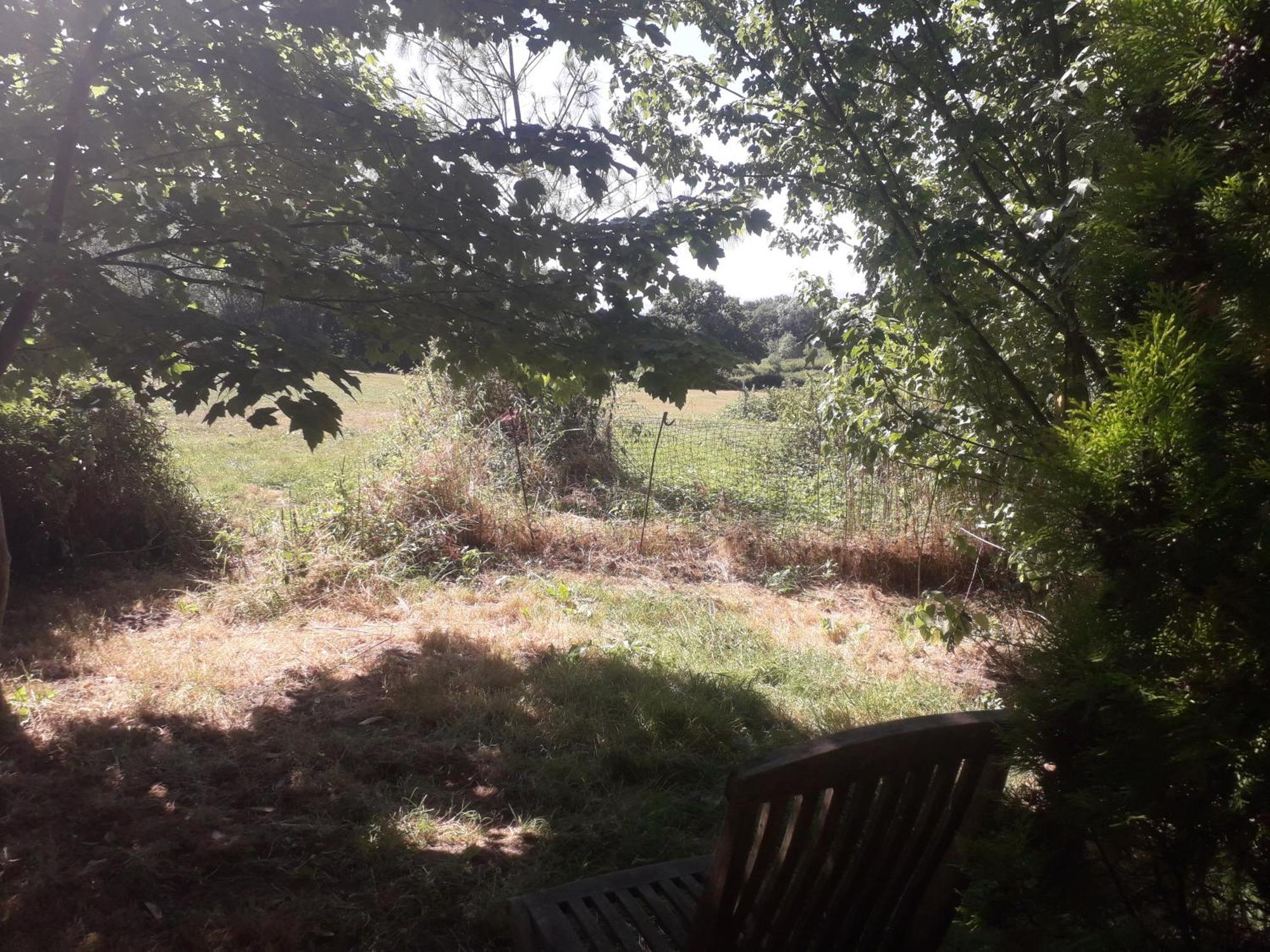 Danehill Moaps Farm B&B Support Small Business, Welcome, Check In From 5 Pm מראה חיצוני תמונה