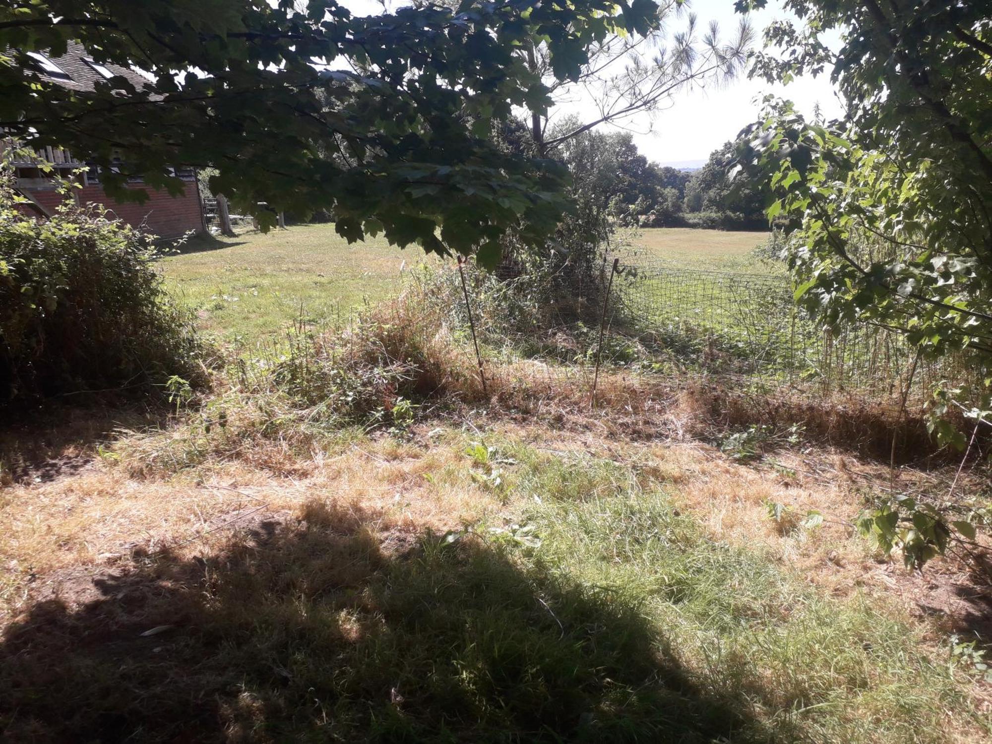 Danehill Moaps Farm B&B Support Small Business, Welcome, Check In From 5 Pm מראה חיצוני תמונה