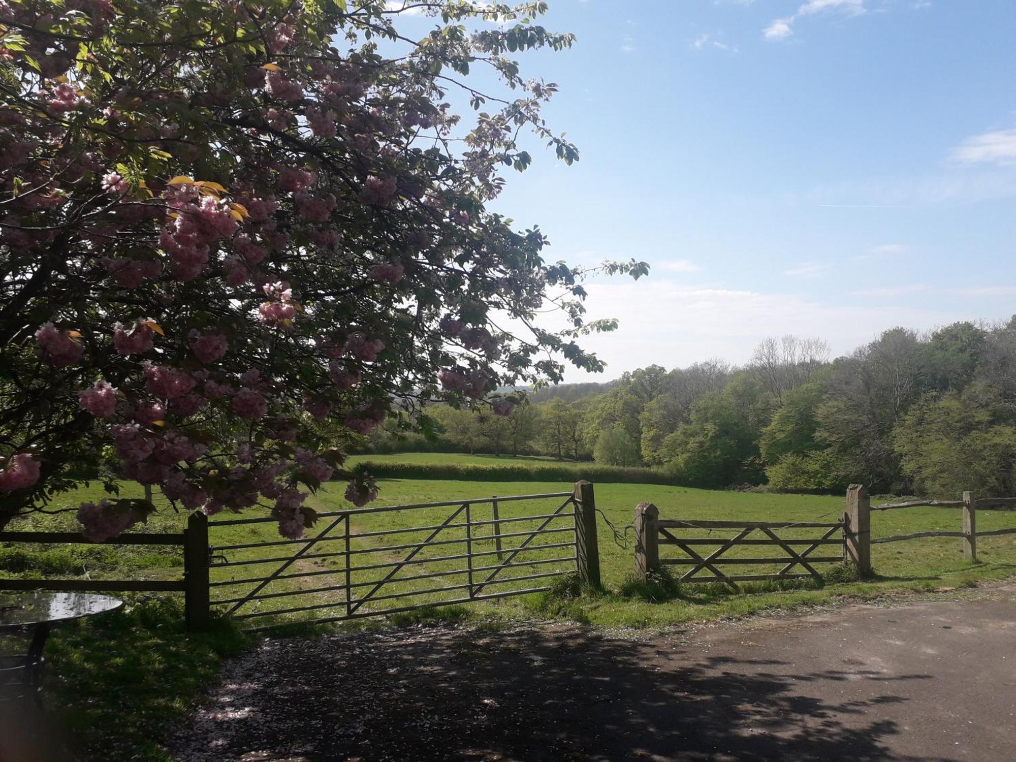 Danehill Moaps Farm B&B Support Small Business, Welcome, Check In From 5 Pm מראה חיצוני תמונה